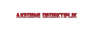 akademi-logo