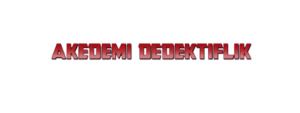 akademi-logo