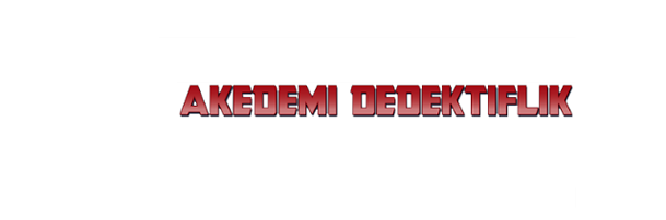 akademi-logo